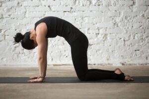 Confira posturas de ioga para praticar no dia a dia e recarregar as energias